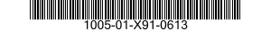 1005-01-X91-0613  100501X910613 01X910613