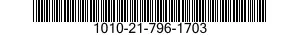1010-21-796-1703  1010217961703 217961703