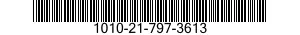 1010-21-797-3613  1010217973613 217973613