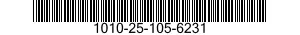1010-25-105-6231  1010251056231 251056231
