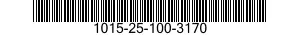 1015-25-100-3170 DEKSEL 1015251003170 251003170