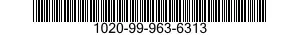 1020-99-963-6313  1020999636313 999636313