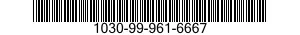 1030-99-961-6667  1030999616667 999616667