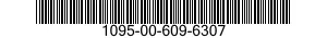 1095-00-609-6307  1095006096307 006096307