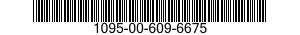 1095-00-609-6675  1095006096675 006096675