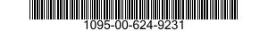 1095-00-624-9231  1095006249231 006249231