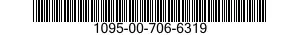 1095-00-706-6319  1095007066319 007066319