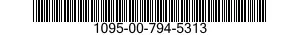 1095-00-794-5313  1095007945313 007945313