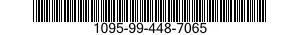 1095-99-448-7065  1095994487065 994487065