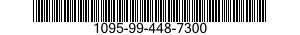 1095-99-448-7300  1095994487300 994487300