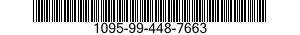 1095-99-448-7663  1095994487663 994487663