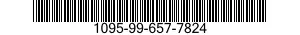 1095-99-657-7824  1095996577824 996577824