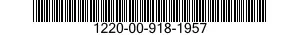 1220-00-918-1957  1220009181957 009181957