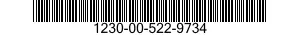 1230-00-522-9734  1230005229734 005229734