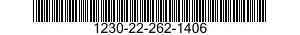 1230-22-262-1406  1230222621406 222621406
