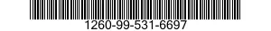 1260-99-531-6697  1260995316697 995316697