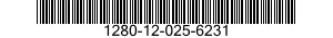 1280-12-025-6231  1280120256231 120256231
