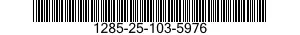 1285-25-103-5976  1285251035976 251035976