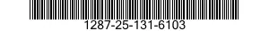 1287-25-131-6103  1287251316103 251316103