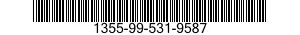 1355-99-531-9587  1355995319587 995319587