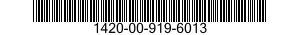 1420-00-919-6013  1420009196013 009196013