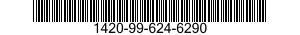 1420-99-624-6290  1420996246290 996246290