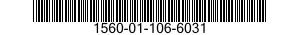 1560-01-106-6031 SKIN,AIRCRAFT 1560011066031 011066031