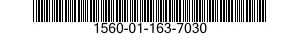 1560-01-163-7030 DOOR,CARGO,AIRCRAFT 1560011637030 011637030