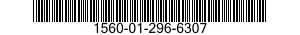 1560-01-296-6307 SKIN,AIRCRAFT 1560012966307 012966307