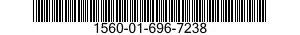 1560-01-696-7238 DOOR,ACCESS,AIRCRAFT 1560016967238 016967238