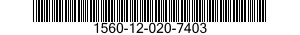 1560-12-020-7403  1560120207403 120207403