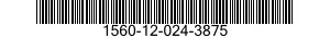 1560-12-024-3875  1560120243875 120243875