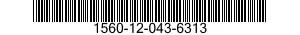 1560-12-043-6313  1560120436313 120436313
