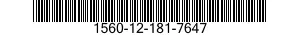 1560-12-181-7647 KABELSCHACHT 1560121817647 121817647