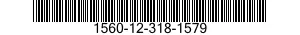 1560-12-318-1579 PLATE,STRUCTURAL,AIRCRAFT 1560123181579 123181579