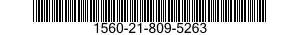 1560-21-809-5263  1560218095263 218095263