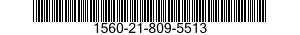 1560-21-809-5513  1560218095513 218095513
