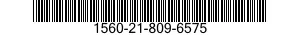 1560-21-809-6575  1560218096575 218096575