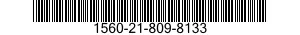 1560-21-809-8133  1560218098133 218098133
