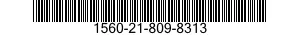 1560-21-809-8313  1560218098313 218098313