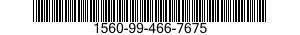 1560-99-466-7675  1560994667675 994667675