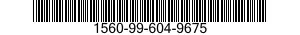 1560-99-604-9675 NUT 1560996049675 996049675