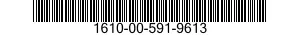 1610-00-591-9613  1610005919613 005919613