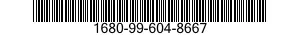 1680-99-604-8667  1680996048667 996048667