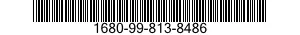 1680-99-813-8486 END,PLATE 1680998138486 998138486
