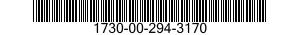 1730-00-294-3170  1730002943170 002943170