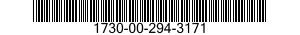 1730-00-294-3171  1730002943171 002943171