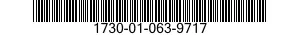 1730-01-063-9717 PIN,WARNING STREAMER/ 1730010639717 010639717