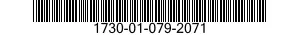 1730-01-079-2071 RING ASSEMBLY,PURGI 1730010792071 010792071
