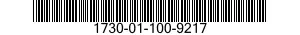 1730-01-100-9217  1730011009217 011009217